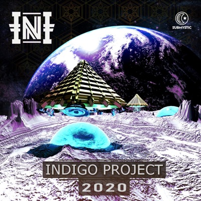 Indigo Project 2020