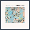 Wild Nothing