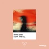 Flow Animal cover art