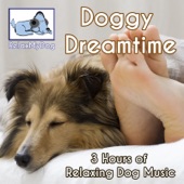 3 Hours of Relaxing Dog Music - Doggy Dreamtime artwork
