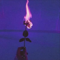 Domingo o Dia Inteiro - Single - Brenu