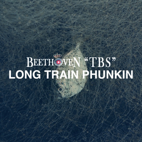 Long Train Phunkin' - Single