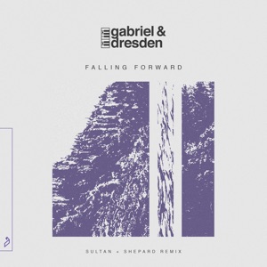 Falling Forward (Sultan + Shepard Remix) [feat. Sub Teal] - Single