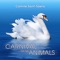 Carnival of the Animals: VII. Aquarium - Hungarian National Philharmonic & Andras Korodi lyrics