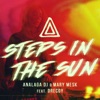 Steps In The Sun (feat. Drecoy) - Single