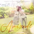 AMIZADE