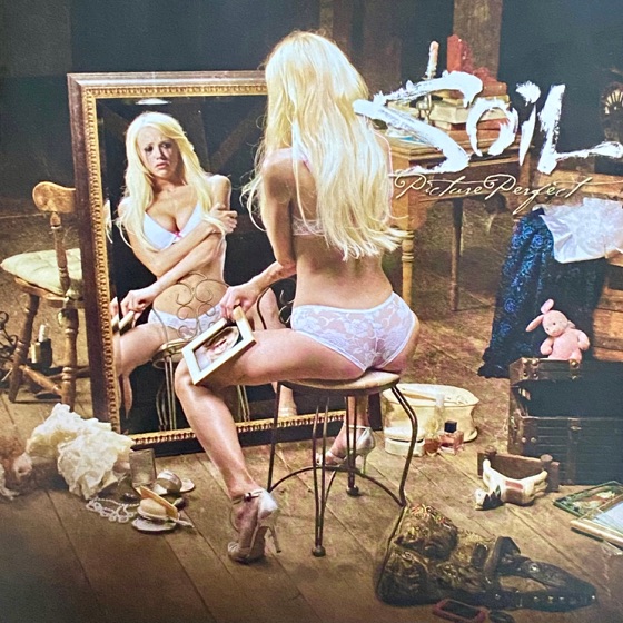 Cover artwork for Picture Perfect