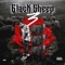 Morning (feat. Bigg Tweetie) - 6lack Sheep lyrics