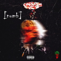 Polaroid - Single - ChilieParker