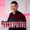 Incompatível - Single