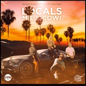 Miejscowi / Locals (feat. Kasia Tontor) artwork
