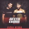 Viúva Negra (feat. Bruno & Barretto) - Single