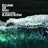 Christofer Bjurstrom  
