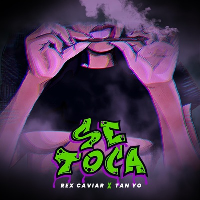 Se Toca (feat. Tanyo) - Single