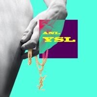 YSL - Single - ANL