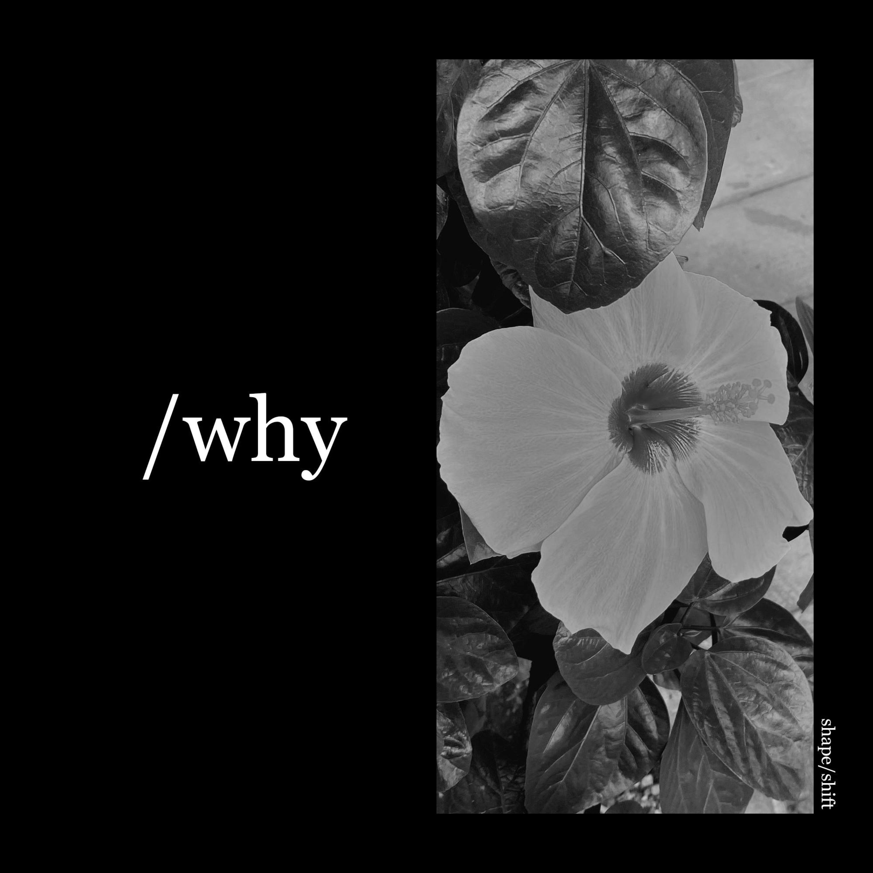 Why - Single