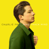 Charlie Puth - We Don’t Talk Anymore (feat. Selena Gomez) 插圖
