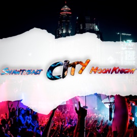 City (feat. Moon Knight) shawtysalt