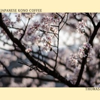 Japanese Kono Coffee - Single - Thomas