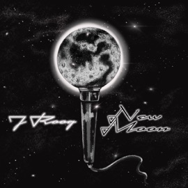 The Fire Inside (feat. Seyu) J Roog