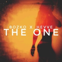 The One - Single - Bozko & Hevve