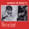 Stupid Kid - Sultans of Ping F.C. lyrics