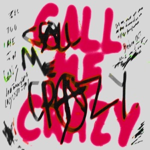 Call Me Crazy - Single