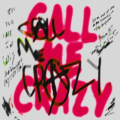 Call Me Crazy - Single