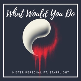 What Would You Do (feat. Starrlight) Mister Personal
