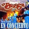 Puros Éxitos en Concierto, Vol. 2