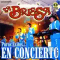 SUENA DULCE NENA