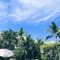 Belize - Tom Thompson lyrics