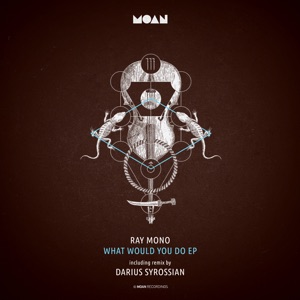 What Would You Do - Single