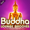 Buddha Lounge Grooves 2013 - The Best Electronic Chilled Bar Grooves - Varios Artistas