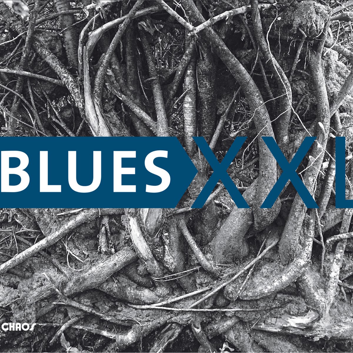 Blues XXL - Album by Blues XXL - Apple Music