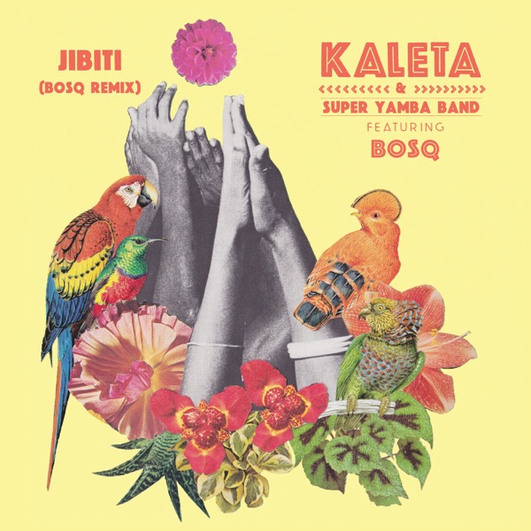Jibiti (Bosq Remix) - Single