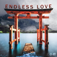 Endless Love - Single - SUSHI
