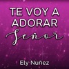 Te Voy Adorar