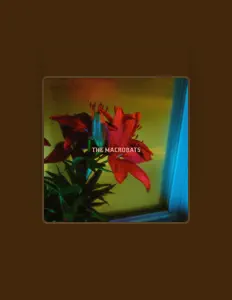 Dengarkan The Macrobats, tonton video musik, baca bio, lihat tanggal tur & lainnya!