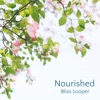 Nourished - Single