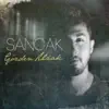 Seni Son Anlatışım