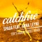 Catchfire (Sun Sun Sun) [feat. Anna Leyne] [EDX Radio Edit] artwork