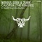 Calopsia (SoundLift Extended Remix) - Nitrous Oxide & 2Sher lyrics