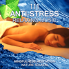 Insomnia Cure Therapy - Mindfulness Meditation Music Spa Maestro