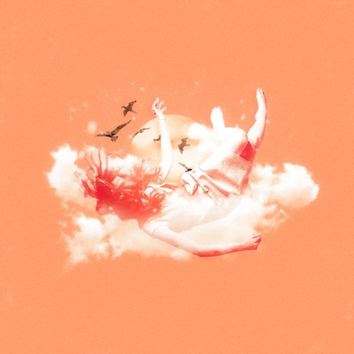 Falling (feat. Crooked Hollows) - Single