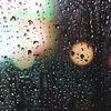 Rain - Single