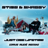 Just One Lifetime (Dave Audé Remix) - Sting, Shaggy & Dave Audé