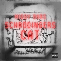Schrodinger's Cat - Single