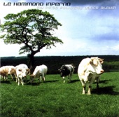 Le Hammond Inferno - F.S.B.