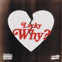 Why? - Single - Lvcky